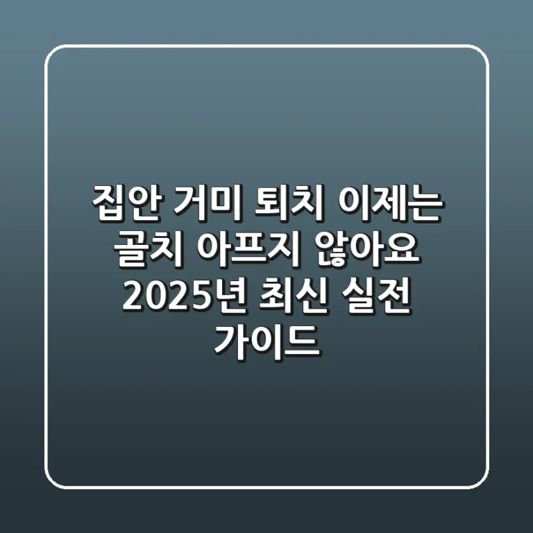 집안 거미 퇴치, 이제는 골치 아프지 않아요: 2025년 최신 실전 가이드