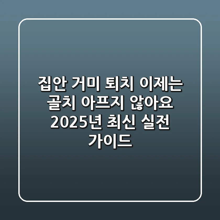 집안 거미 퇴치, 이제는 골치 아프지 않아요: 2025년 최신 실전 가이드