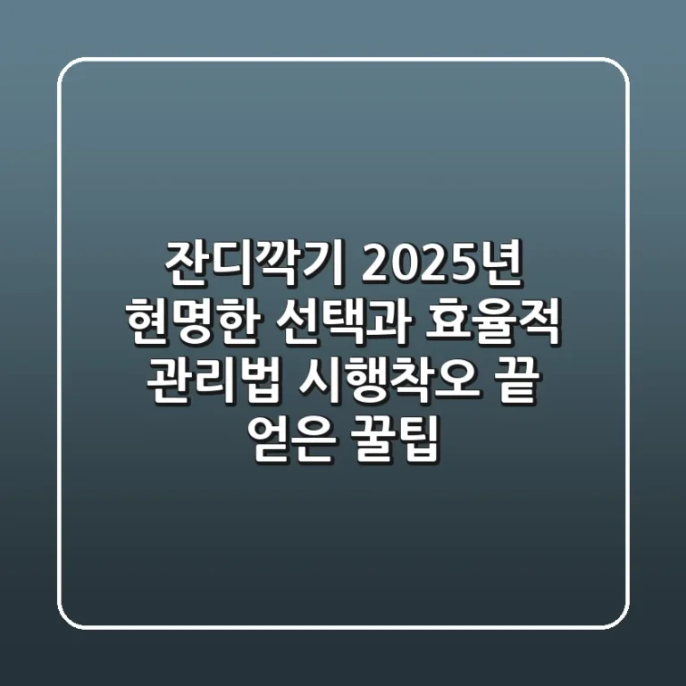 잔디깍기, 2025년 현명한 선택과 효율적 관리법: 시행착오 끝 얻은 꿀팁