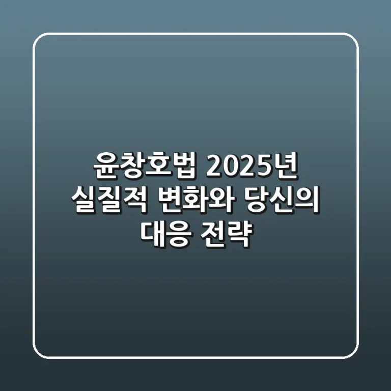 윤창호법, 2025년 실질적 변화와 당신의 대응 전략