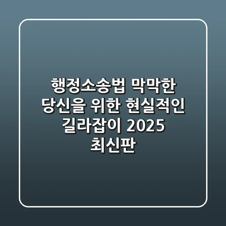 행정소송법, 막막한 당신을 위한 현실적인 길라잡이 (2025 최신판)