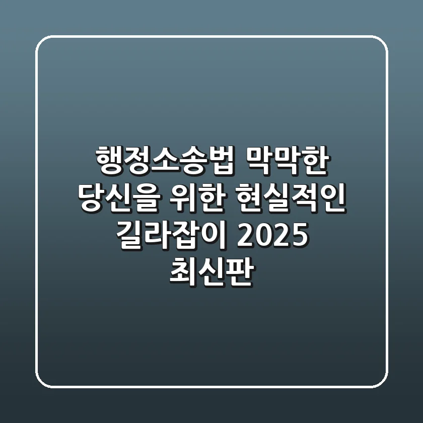 행정소송법, 막막한 당신을 위한 현실적인 길라잡이 (2025 최신판)