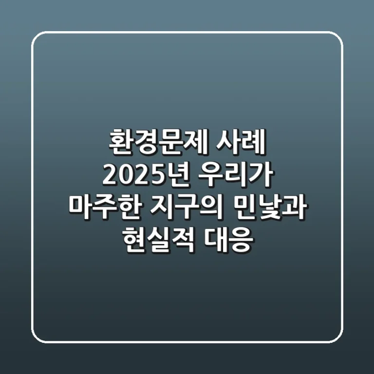 환경문제 사례: 2025년, 우리가 마주한 지구의 민낯과 현실적 대응