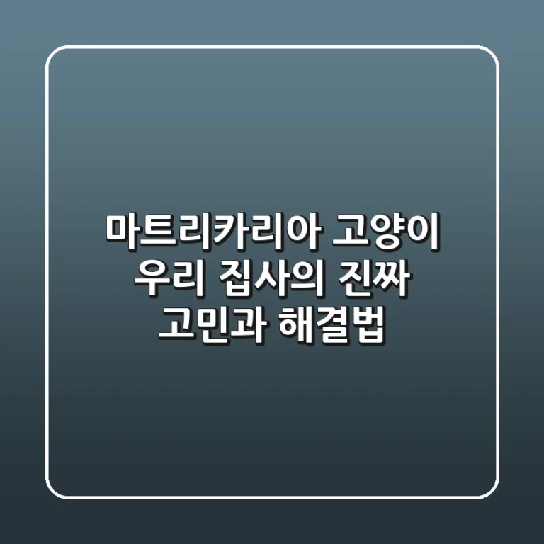 마트리카리아 고양이: 우리 집사의 진짜 고민과 해결법