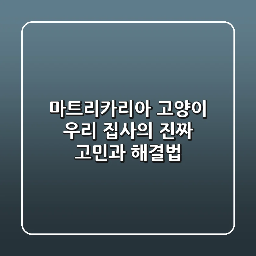 마트리카리아 고양이: 우리 집사의 진짜 고민과 해결법