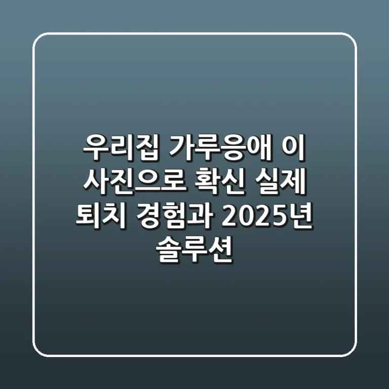 우리집 가루응애, 이 사진으로 확신! 실제 퇴치 경험과 2025년 솔루션