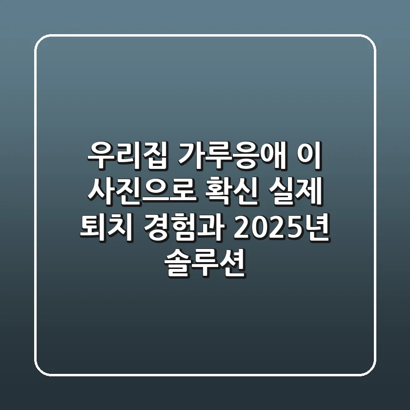 우리집 가루응애, 이 사진으로 확신! 실제 퇴치 경험과 2025년 솔루션