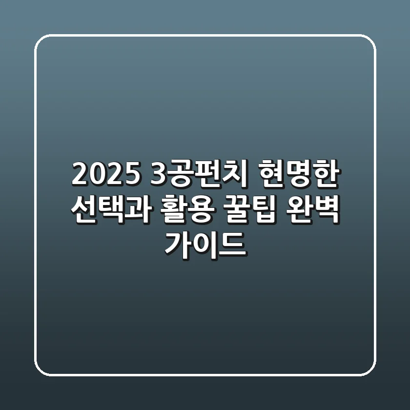 2025 3공펀치, 현명한 선택과 활용 꿀팁 완벽 가이드