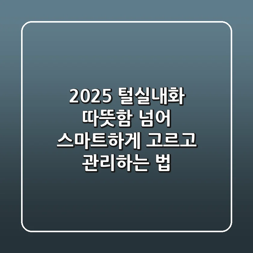 2025 털실내화, 따뜻함 넘어 스마트하게 고르고 관리하는 법