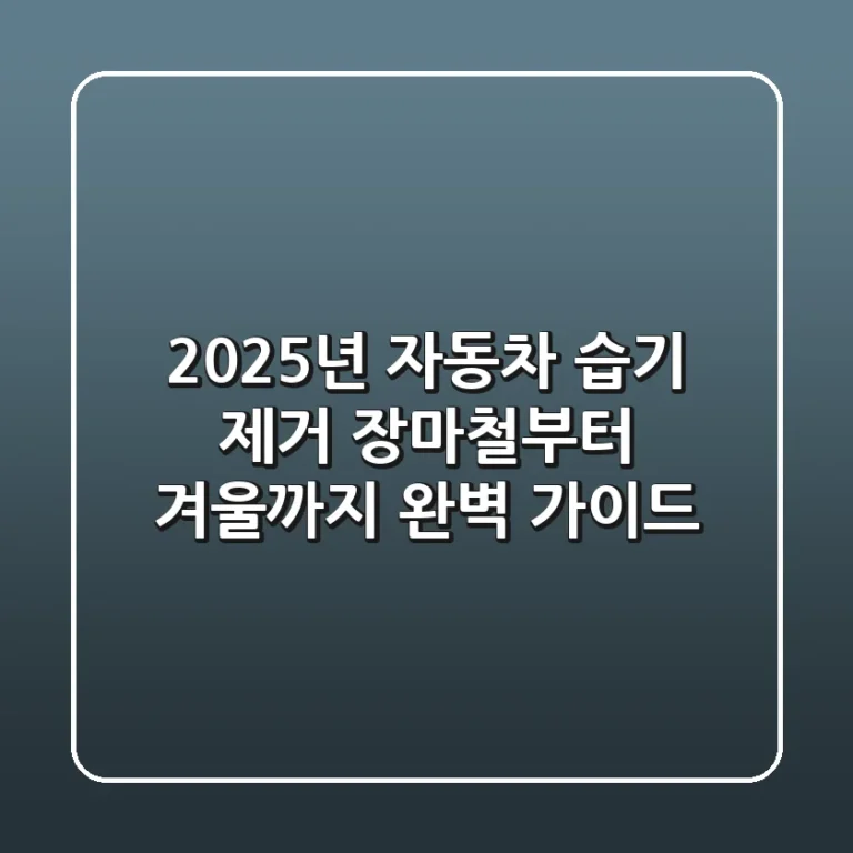 2025년 자동차 습기 제거, 장마철부터 겨울까지 완벽 가이드