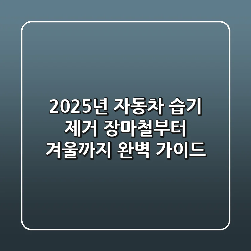 2025년 자동차 습기 제거, 장마철부터 겨울까지 완벽 가이드