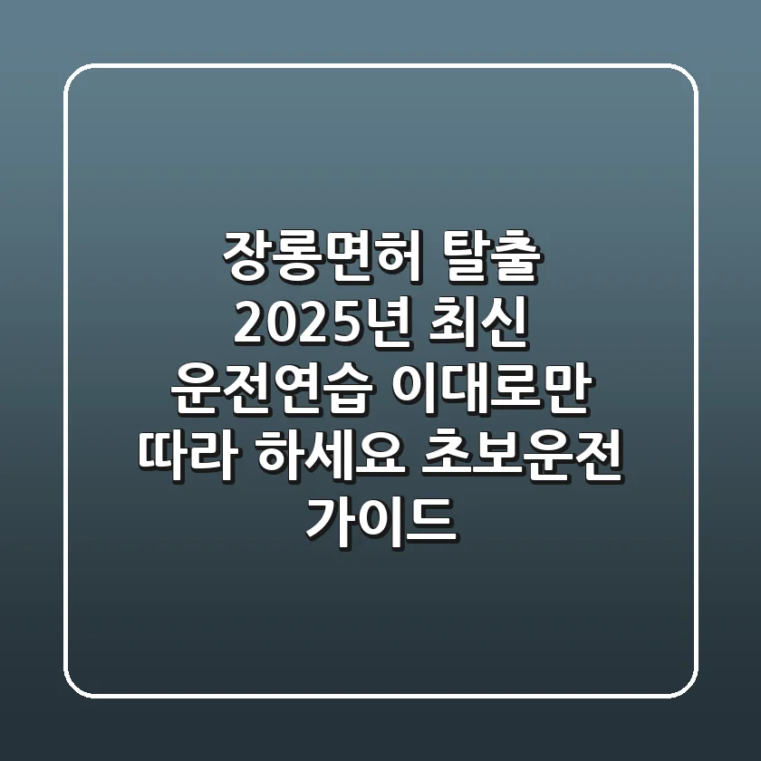 장롱면허 탈출! 2025년 최신 운전연습, 이대로만 따라 하세요 (초보운전 가이드)