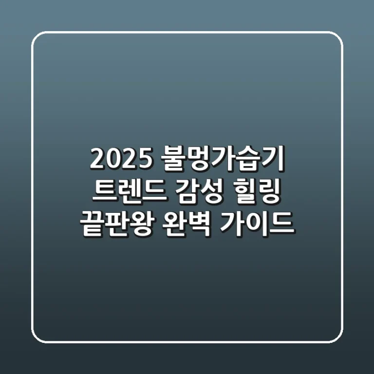 2025 불멍가습기 트렌드: 감성 힐링 끝판왕 완벽 가이드