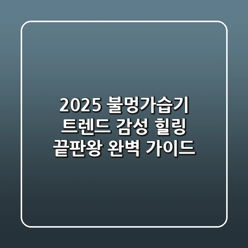2025 불멍가습기 트렌드: 감성 힐링 끝판왕 완벽 가이드