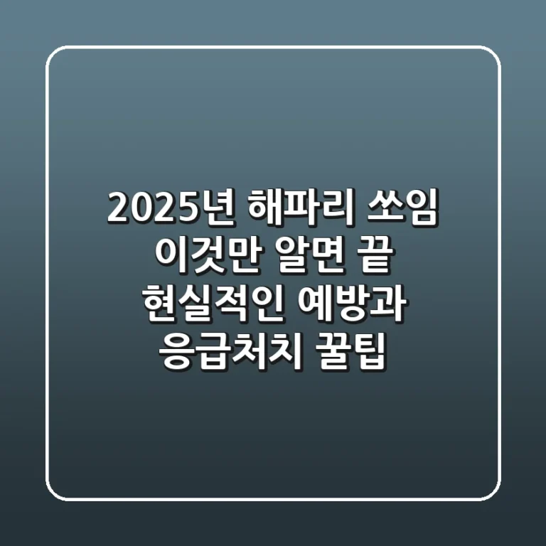 2025년 해파리 쏘임, 이것만 알면 끝! 현실적인 예방과 응급처치 꿀팁