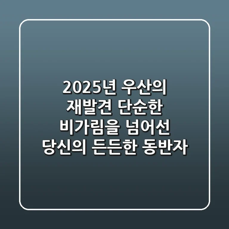 2025년, 우산의 재발견: 단순한 비가림을 넘어선 당신의 '든든한 동반자'