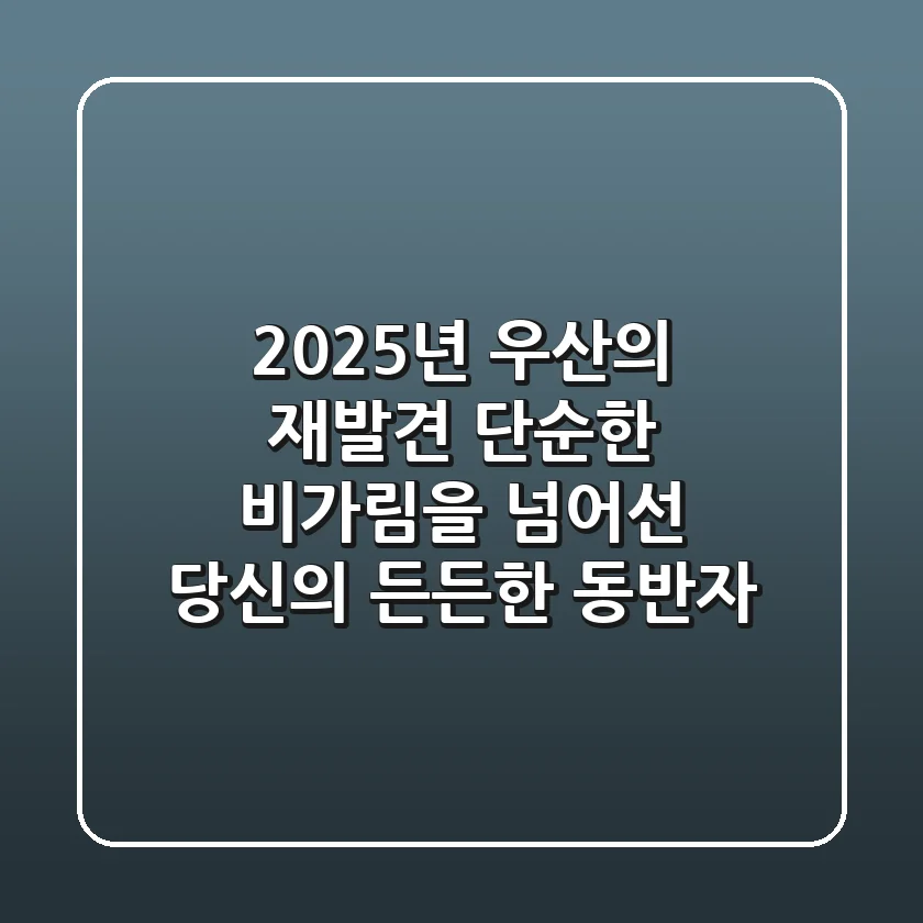 2025년, 우산의 재발견: 단순한 비가림을 넘어선 당신의 '든든한 동반자'