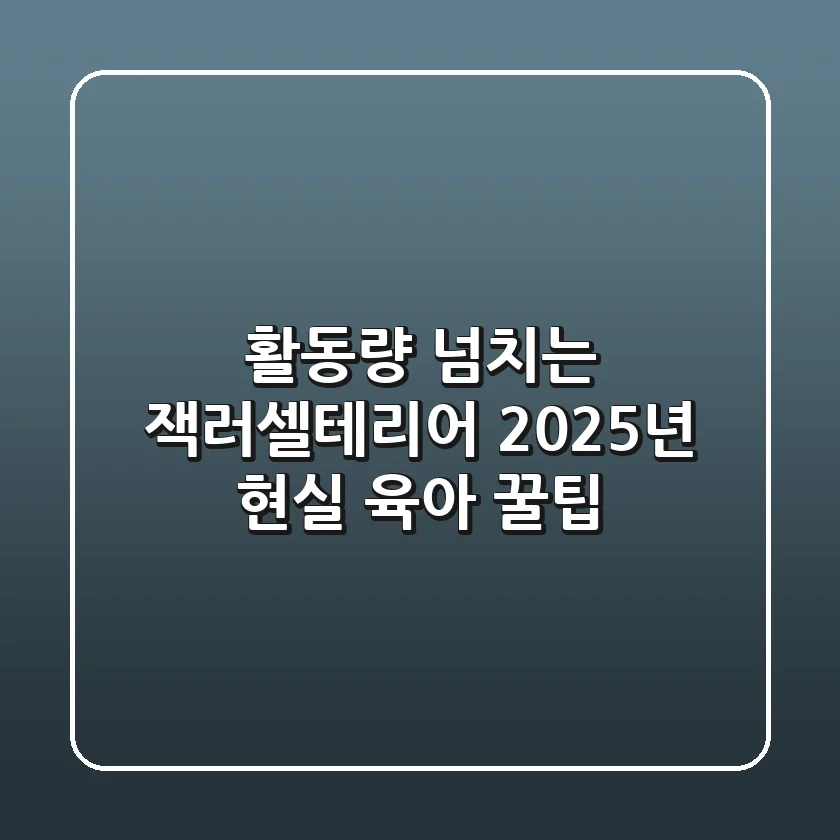 활동량 넘치는 잭러셀테리어? 2025년 현실 육아 꿀팁!