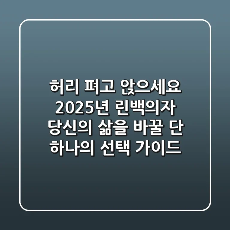허리 펴고 앉으세요! 2025년 린백의자, 당신의 삶을 바꿀 단 하나의 선택 가이드