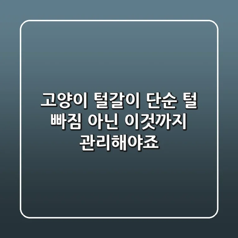 고양이 털갈이, 단순 털 빠짐 아닌 '이것'까지 관리해야죠?