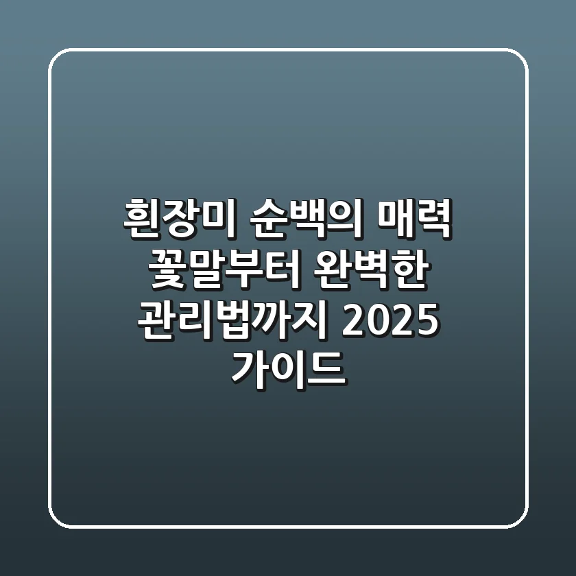 흰장미: 순백의 매력, 꽃말부터 완벽한 관리법까지 2025 가이드