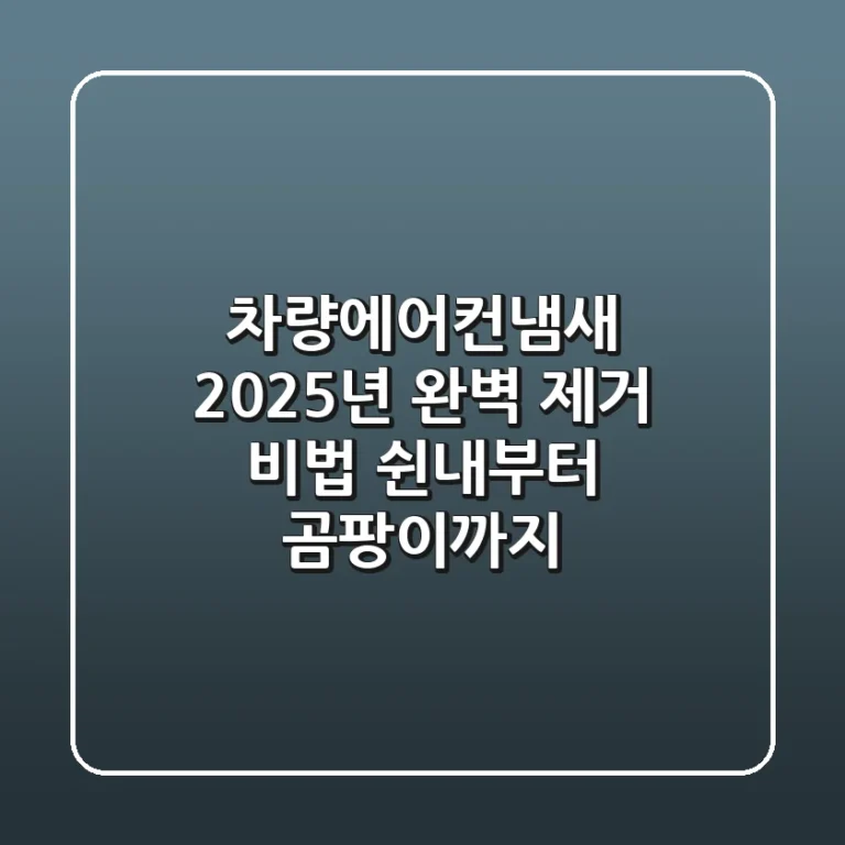 차량에어컨냄새, 2025년 완벽 제거 비법! 쉰내부터 곰팡이까지