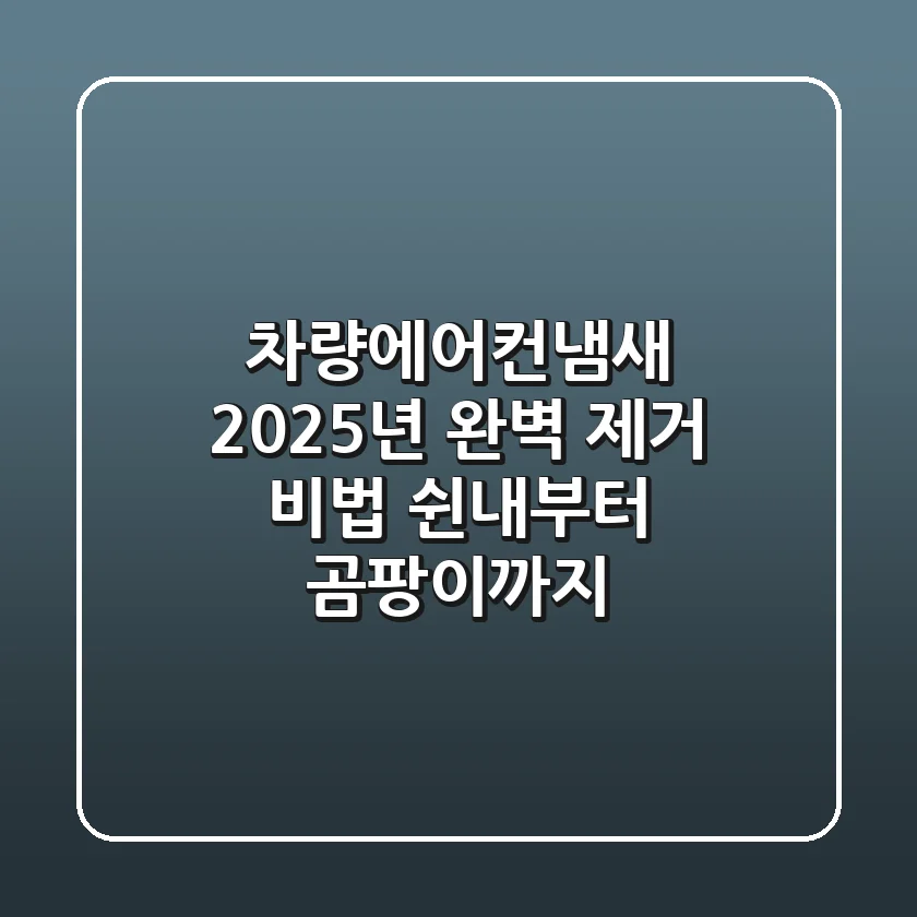 차량에어컨냄새, 2025년 완벽 제거 비법! 쉰내부터 곰팡이까지