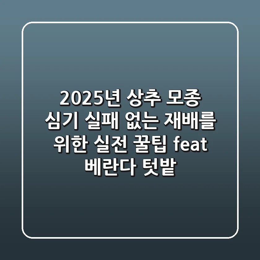 2025년 상추 모종 심기: 실패 없는 재배를 위한 실전 꿀팁 (feat. 베란다 텃밭)