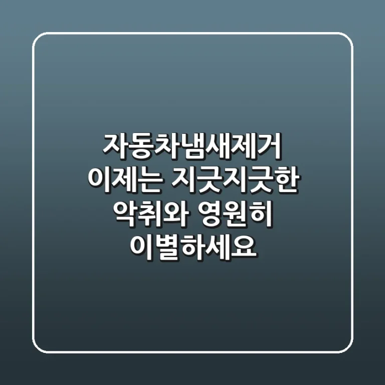 자동차냄새제거, 이제는 지긋지긋한 악취와 영원히 이별하세요!