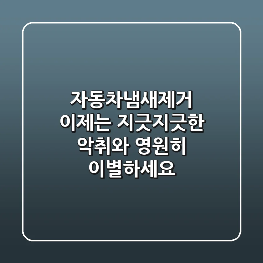 자동차냄새제거, 이제는 지긋지긋한 악취와 영원히 이별하세요!